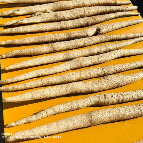 幻の王菜（自然薯）