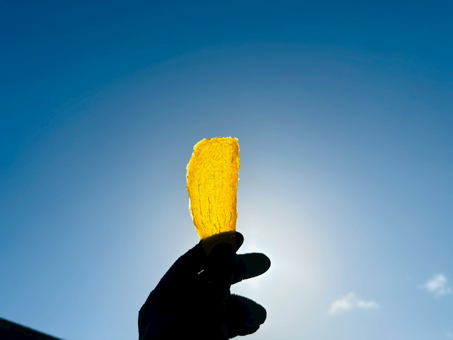 干し芋の栄養・健康